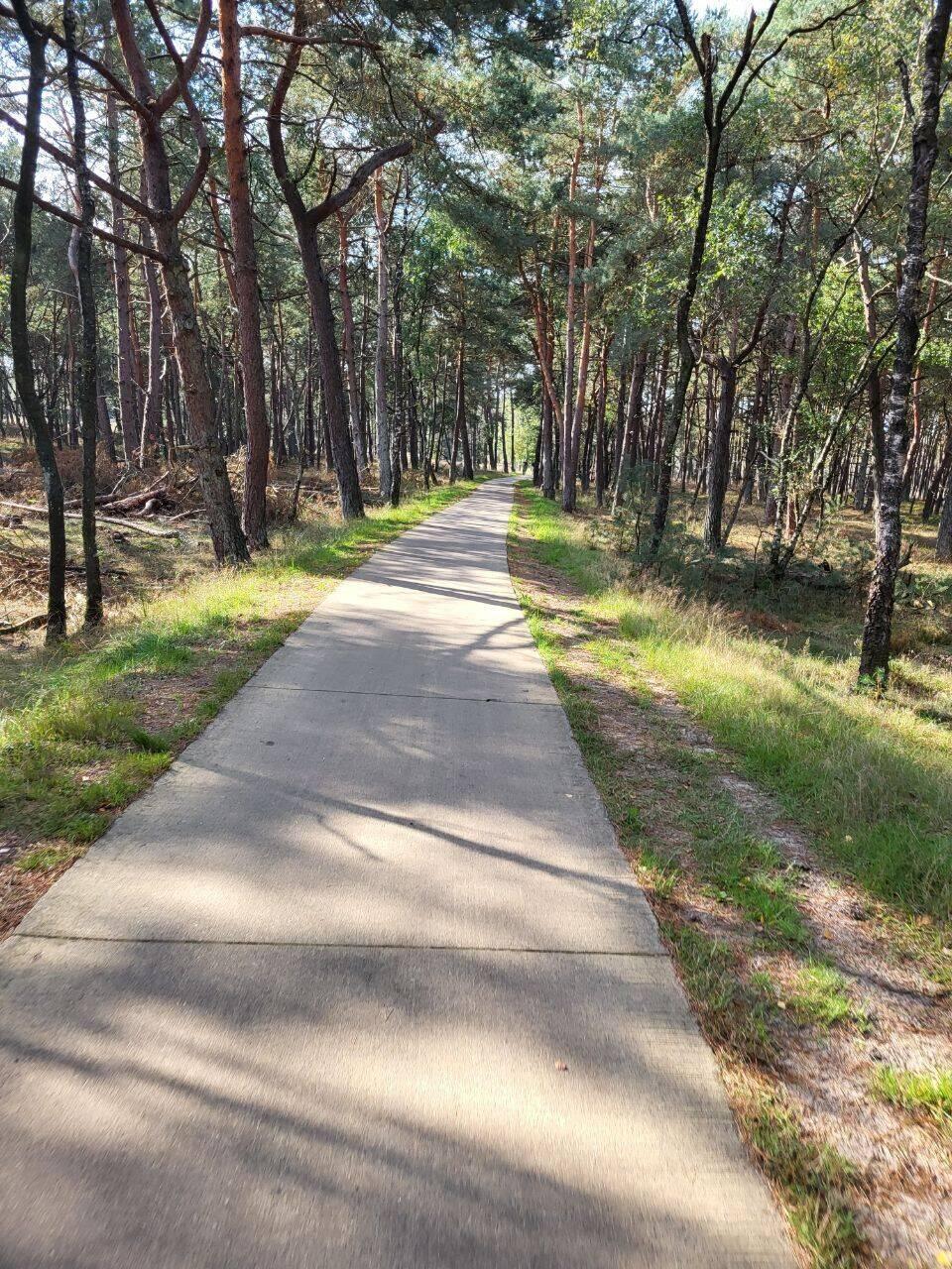 Dieses Bild täuscht, alle Holländer sind heute hier in der Heide unterwegs.
