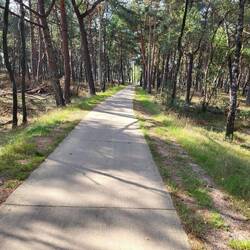 Dieses Bild täuscht, alle Holländer sind heute hier in der Heide unterwegs.