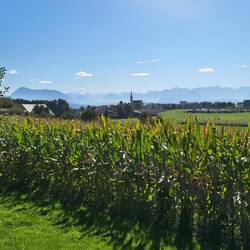 Rigi and more