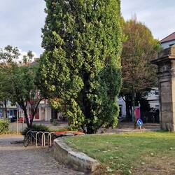 Noch zu erkennen ein ehemaliges Stadttor. Diese Pfeiler sieht man an mehreren Stellen der Stadt.