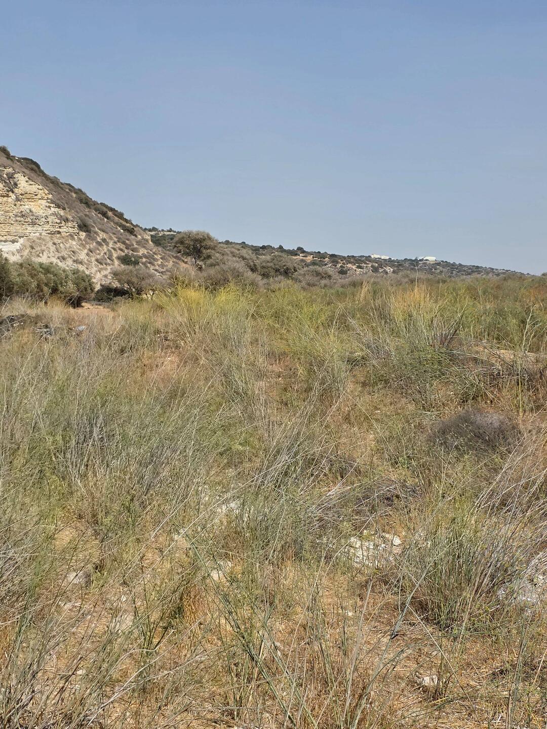 David killed Goliath in this valley years ago.