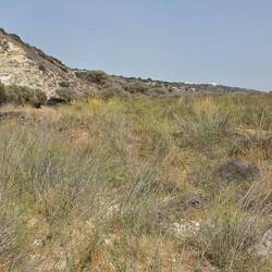 David killed Goliath in this valley years ago.