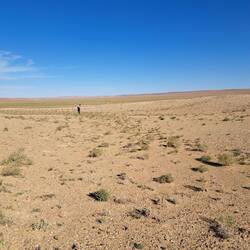 Irgendwo dahinten am Horizont unser Jurten-Camp
