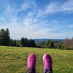 Das ist meine Aussicht.