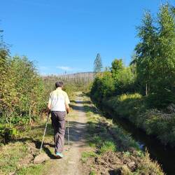 Der Dammgraben gehört zum Oberharzer Wasserregal.