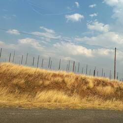 Zäune neben den Straßen...