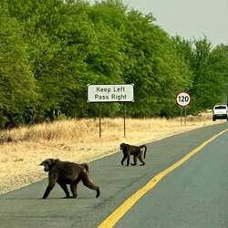 ...trotzdem aufpassen !