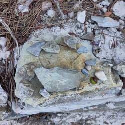 Landart de Colin