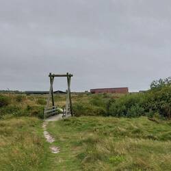 Nochmal schnell nach ein paar Pilzchen schauen, bevor der Regen kommt