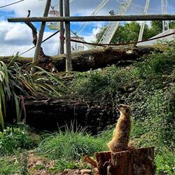 Nicolas Verwandte besucht