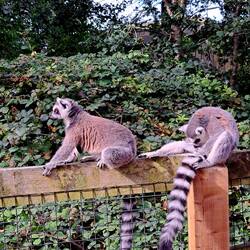 und die Jungs hatten auch die Ruhe weg