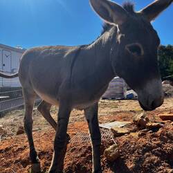 Lol, cutie pie! She was curious about me.