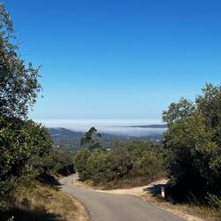 Pretty low lying clouds in the distance