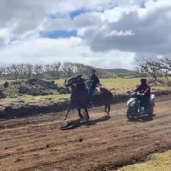 Vorbereitungen auf ein Pferderennen zum Nationalfeiertag