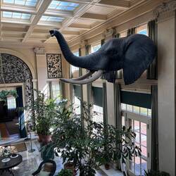 The Elephant in the room.