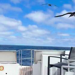 Es gibt nur leichte Probleme bei der Landung 😅