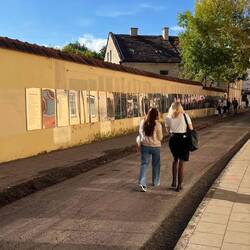 Die Verfassung der Republik