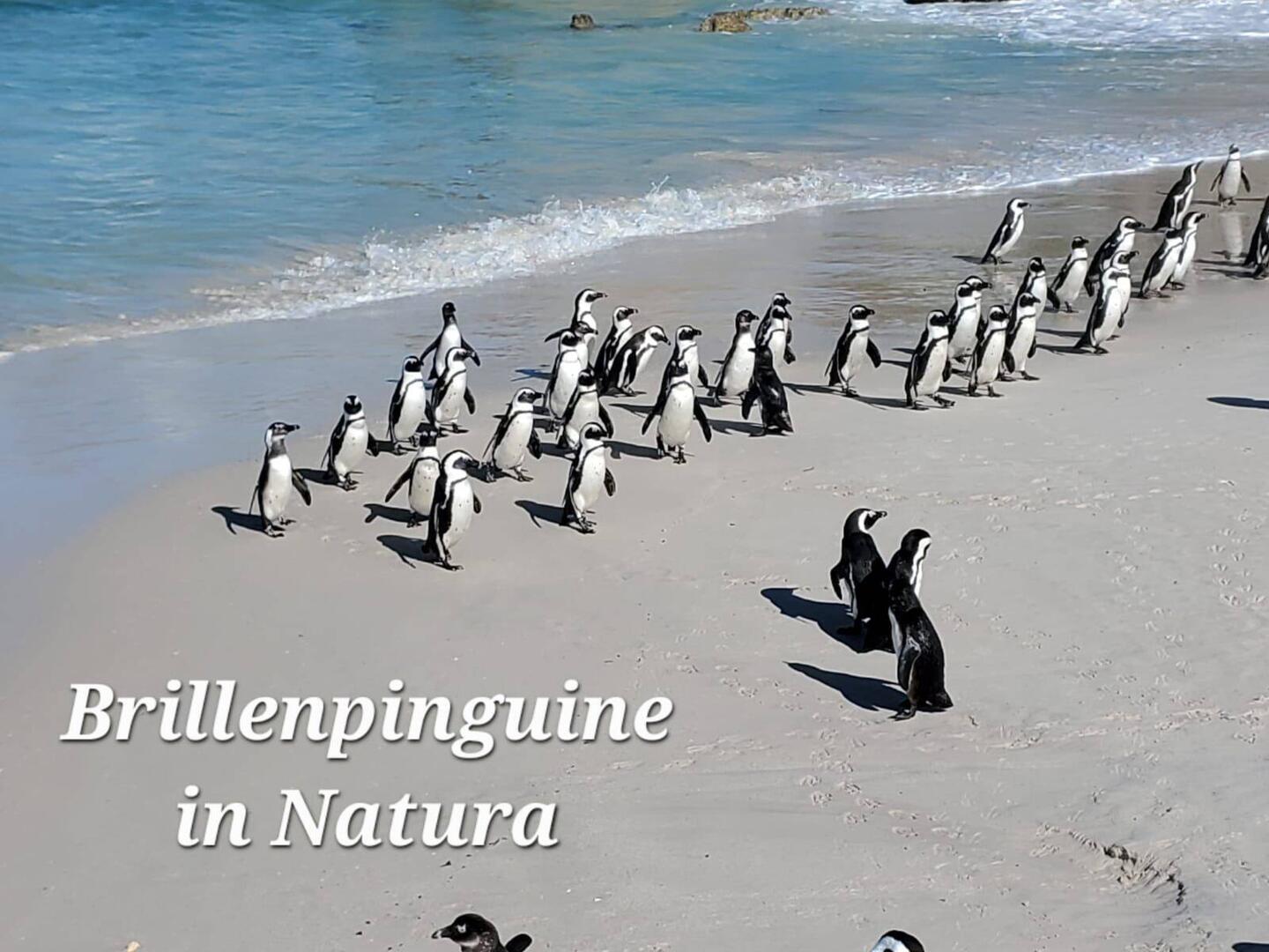 Die Truppe ist an Land