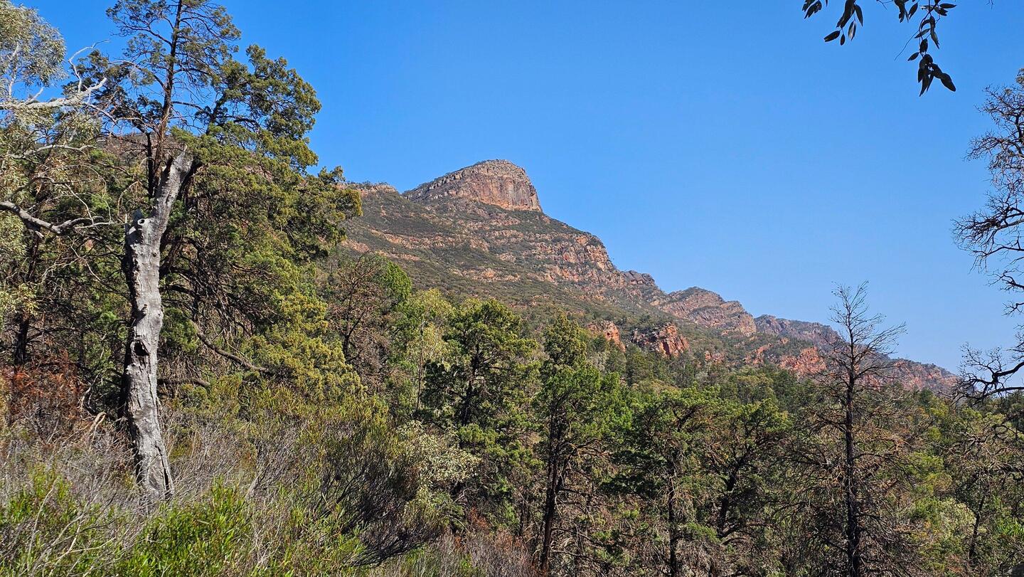 Saint Mary Peak