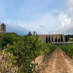 So many wineries here 🥰