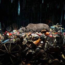 The bear art display