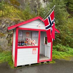 There were tons of kiosks on the side of the road selling apple cider, all on the honor system
