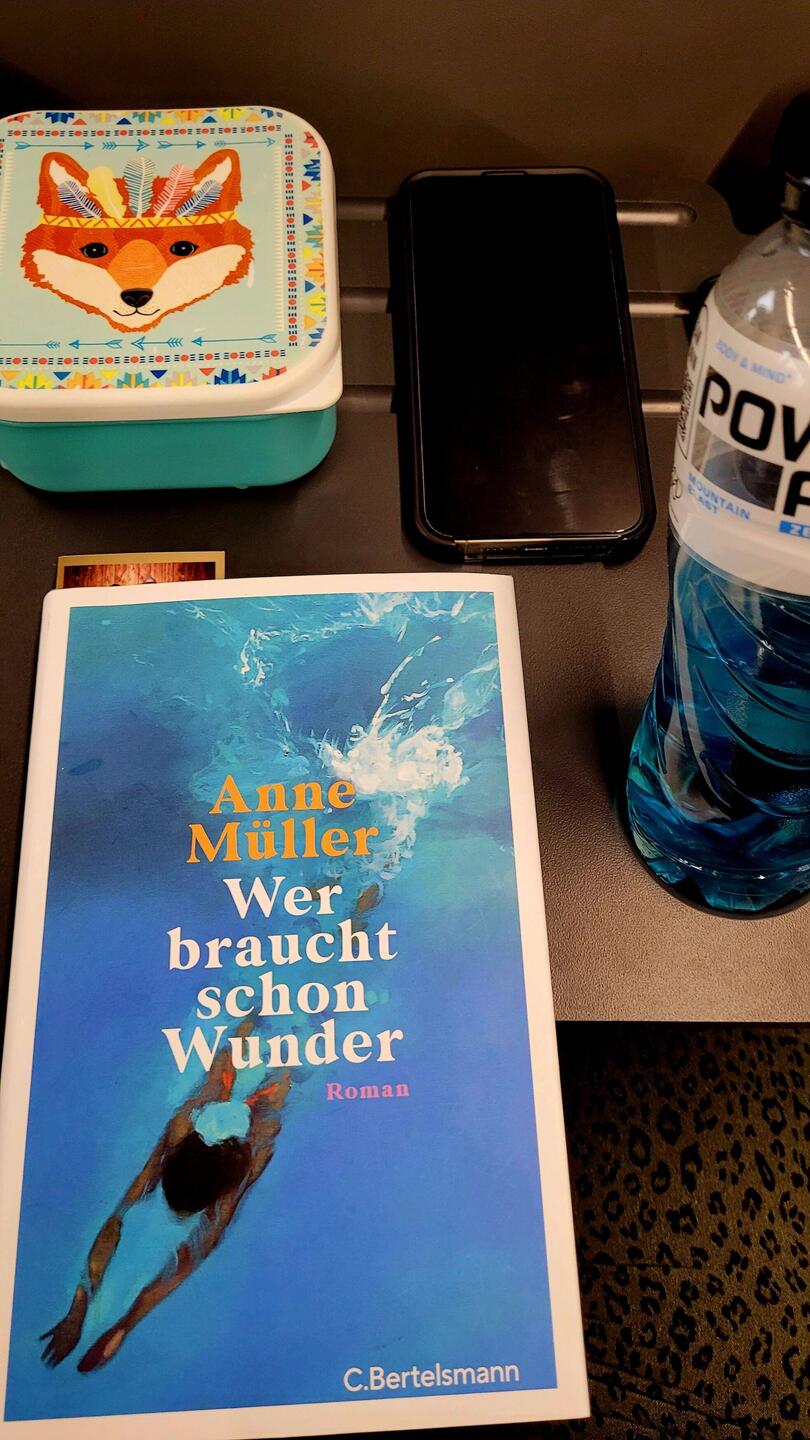 Eine Zugfahrt wird zum Lesen genutzt 😎.