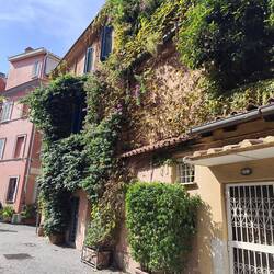 Mein Lieblingsviertel Trastevere🥰
