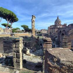 Blick aufs Forum Romanum