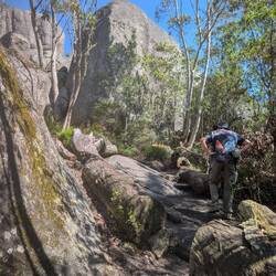 Turning quickly to elevation