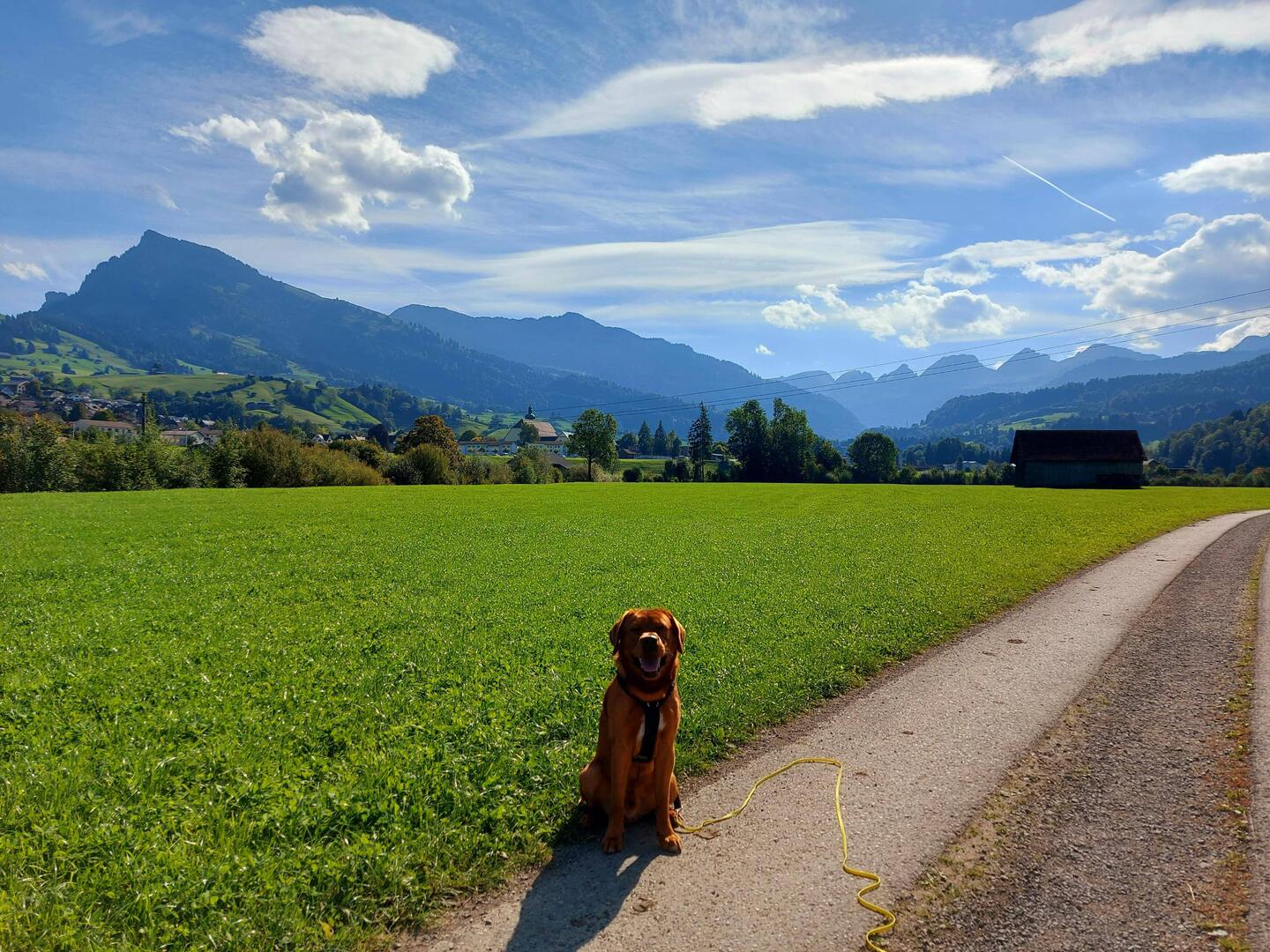 heimat🥰