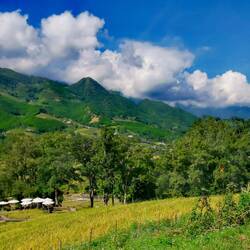 View from my terrace!