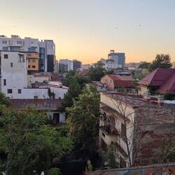 Guten Morgen Bukarest