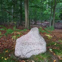 Ameisenhügel