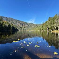Der große Arbersee