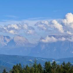 Lang- und Plattkofel und der Schlern vom Salten aus im Nachmittagslicht 🥰