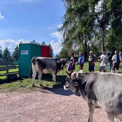 Wer darf hier zu erst auf's Dixi?