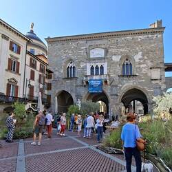 Piazza Vecchia. All greenery is part of the 2 week Urban Landscape Festival.