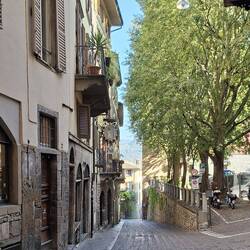 Città Alta. Paved streets, trees, old buildings. Lovely.
