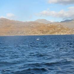 Rubha Raonuill is a mountain summit 104 m