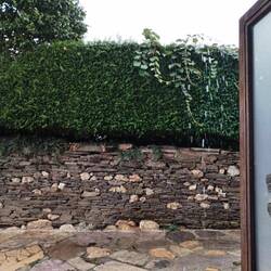 Starkregen in der Pause