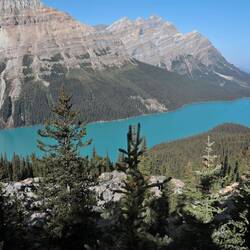 Peyto Lake