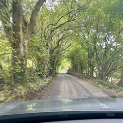 Such green lovely narrow roads.