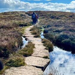 The path on the ridge passed through a lot of swampy ground.