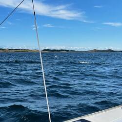 In rasanter Fahrt gen Süden