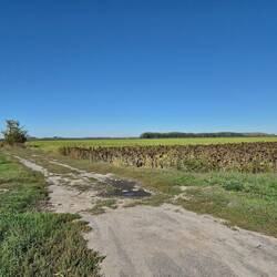 Weer veel vlak landschap.