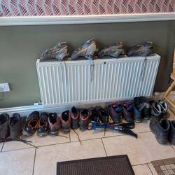 Drying shoes at the BnB