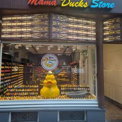 Saw a few of these rubber duck stores while in Amsterdam. Seems the new craze.