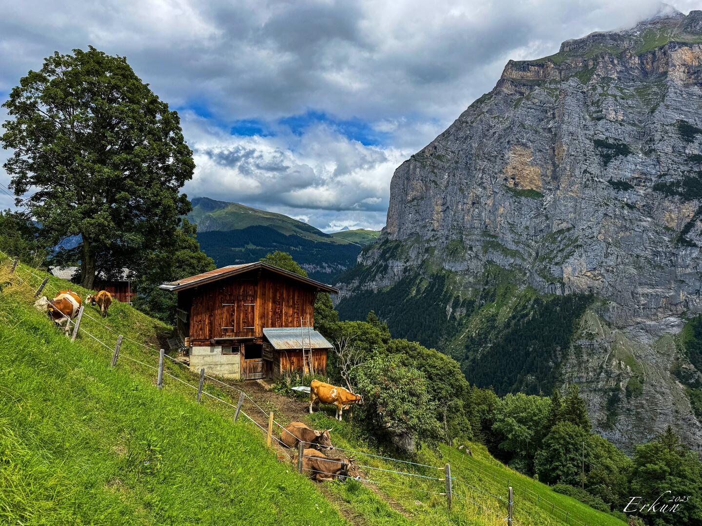 Alpine farm on the way from Mürren to Gimmelwald, Switzerland.