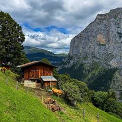 Alpine farm on the way from Mürren to Gimmelwald, Switzerland.